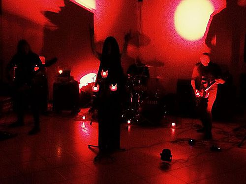 THE DEAD FLOWERS GRAVES – „10 questions“