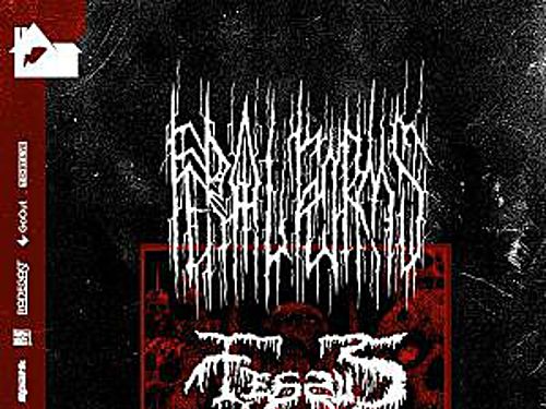FERAL FORMS, SNĚŤ, FESSUS , SOUL MASSACRE - info